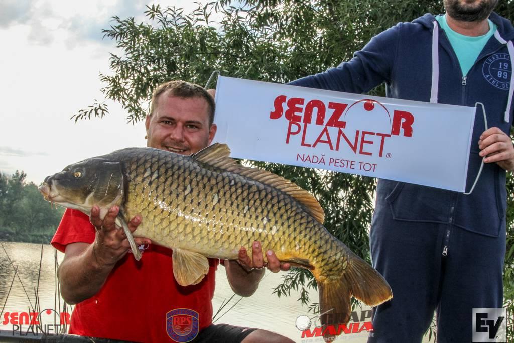 Chita 2 - ev-164zpsp0bwpqty.jpg